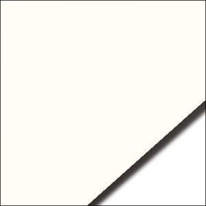 Rising Museum Board - 4 Ply - Antique (40" X 60")