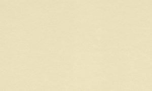 Crescent Mat Board - Ragmat Museum Solids 4 ply - Sprout (32" X 40") *SPECIAL ORDER