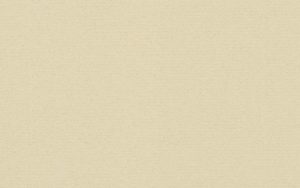 Crescent Mat Board - Select - 4 ply - Fossil (40" X 60") *SPECIAL ORDER