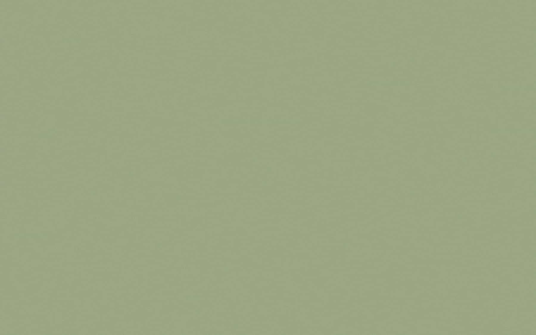 Crescent Mat Board - Select - 4 ply - Wise Green (40" X 60") *SPECIAL ORDER
