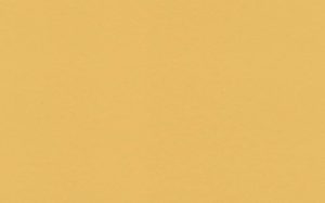 Crescent Mat Board - Papermat - Chamois Gold (40" X 60") *SPECIAL ORDER