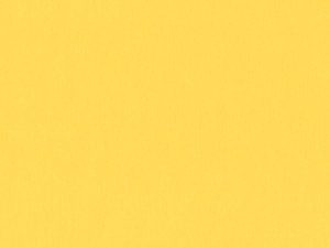 Crescent Mat Board - Select - 4 ply - Summer (32" X 40")