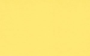 Crescent Mat Board - Select - 4 ply - Oleo (32" X 40")