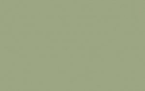 Crescent Mat Board - Select - 4 ply - Wise Green (32" X 40")