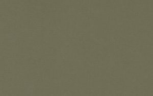 Crescent Mat Board - Select - 4 ply - Underbrush (32" X 40")