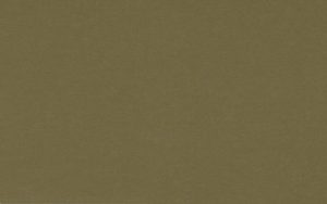 Crescent Mat Board - Select - 4 ply - Mocha Green (32" X 40") *SPECIAL ORDER