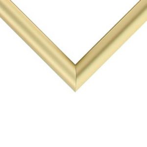Nielsen Metal Moulding - FROSTED GOLD