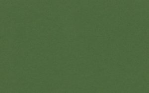 Crescent Mat Board - International Whitecore 4 ply - Grass Green (32" X 40") *SPECIAL ORDER