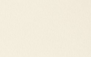 Crescent Mat Board - Ragmat Museum Solids 4 ply - Archival Mist (32" X 40")