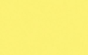 Crescent Mat Board - Berkeley Paper Mat - Buttercup (32x40) C-B110
