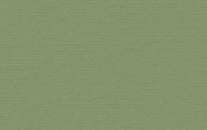 Crescent Mat Board - Berkeley Paper Mat - Palm (32x40) C-B522